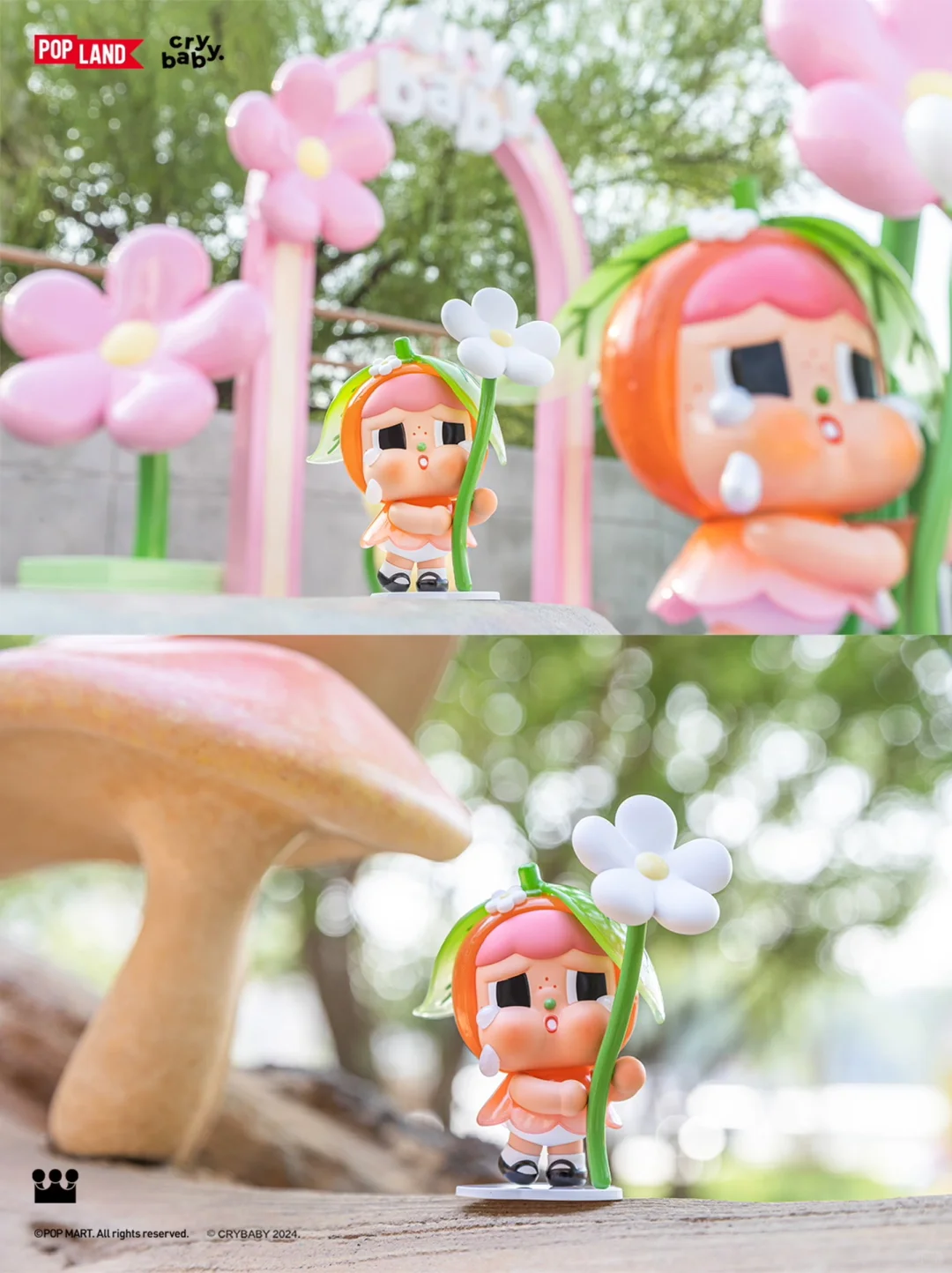 SWEET N SOUR BLISTER-photos