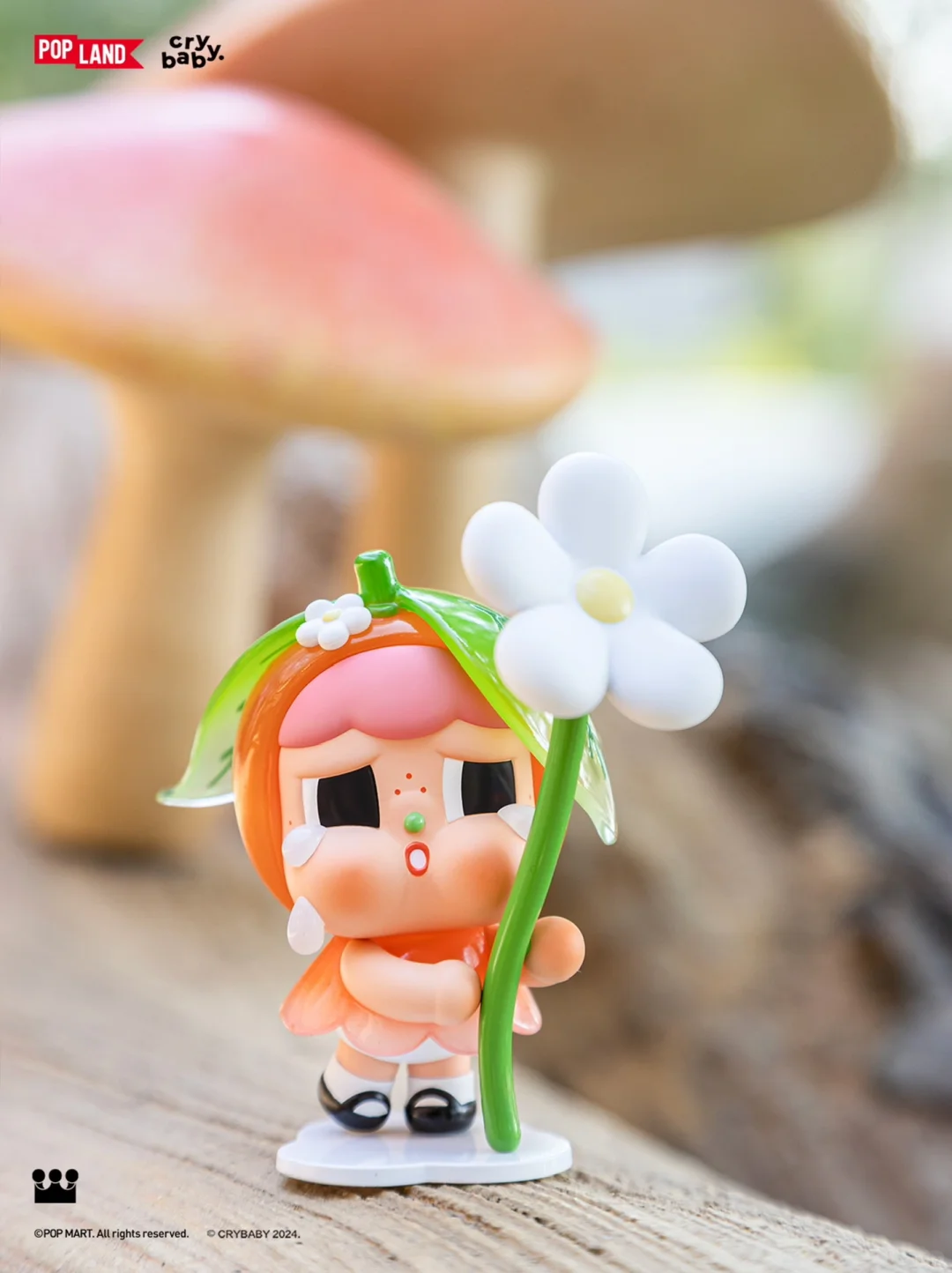 SWEET N SOUR BLISTER-photos