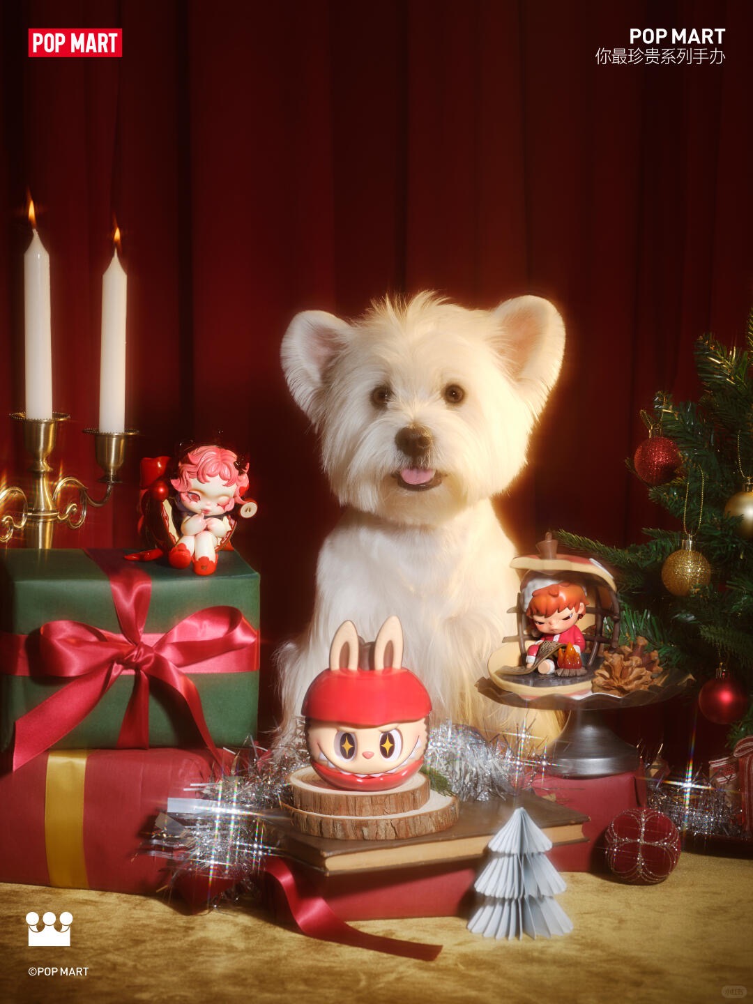 Secret in the Snowball-photos